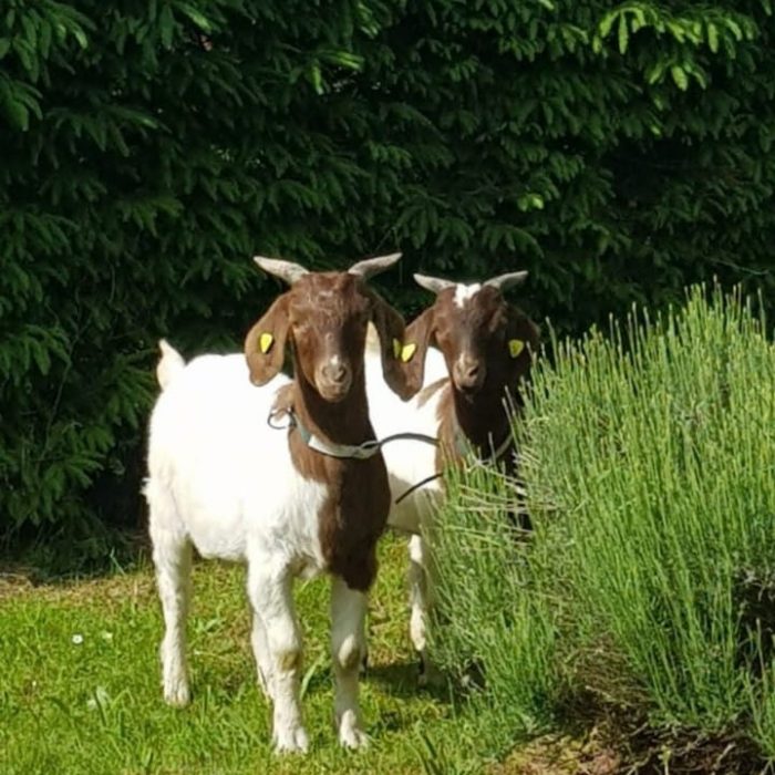 61cfaadd-597d-41ee-9faf-c8ea42cdf252