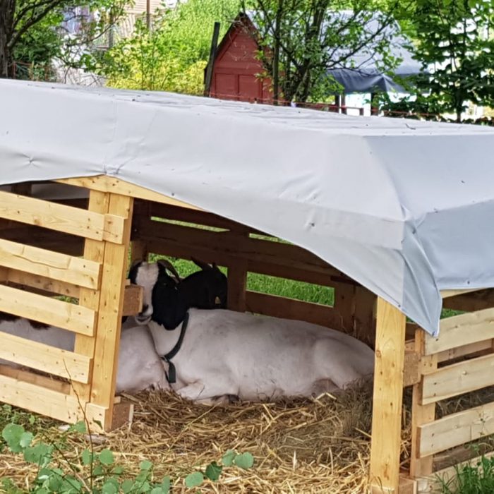 IMG-20220711-WA0003-1