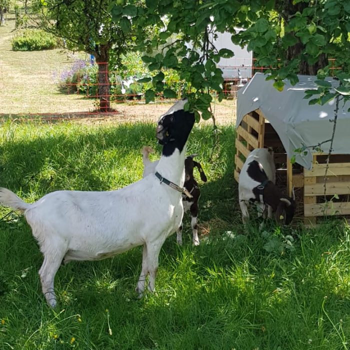 WhatsApp-Image-2022-07-10-at-13.49.48