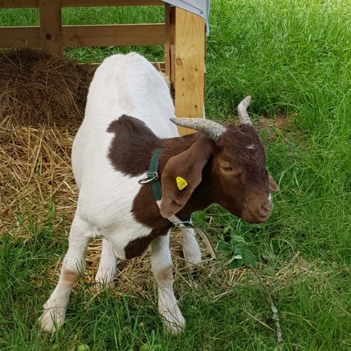 WhatsApp-Image-2022-07-10-at-13.49.49-1