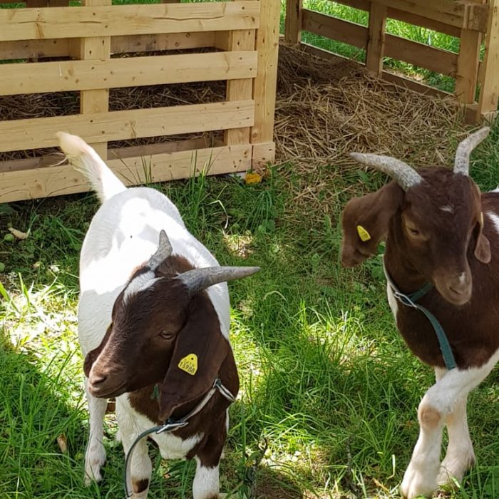 WhatsApp-Image-2022-07-10-at-13.49.49