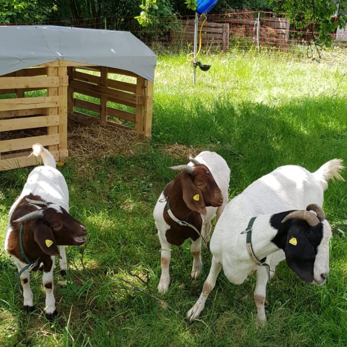 WhatsApp-Image-2022-07-10-at-13.49.50