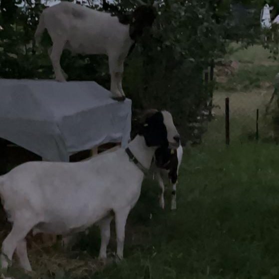 WhatsApp Image 2022-07-10 at 22.00.41