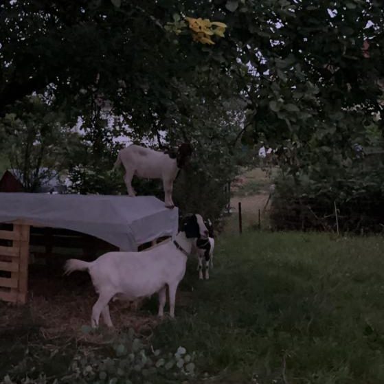 WhatsApp Image 2022-07-10 at 22.00.42